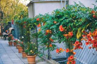 Проживание в семье Makos Guest House Кутаиси-6